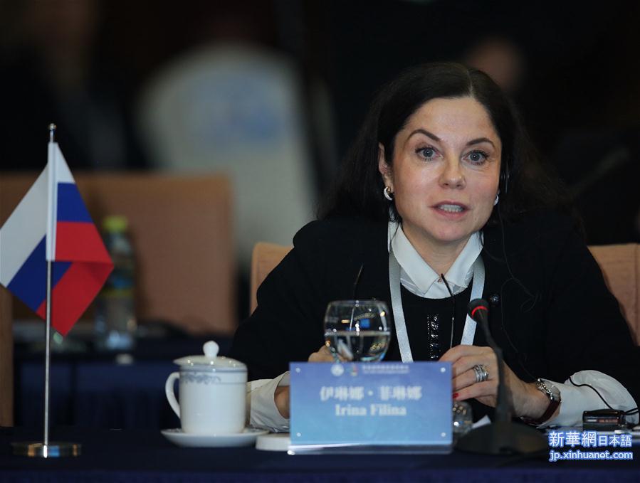 （金砖国家媒体峰会·XHDW）（6）首届金砖国家媒体峰会论坛在京举行