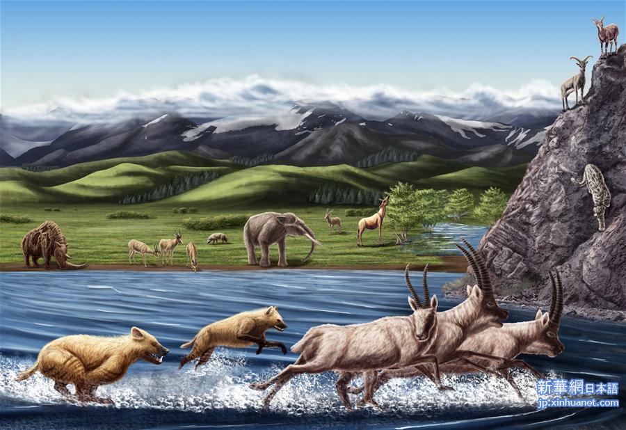 （晚报）（1）西藏阿里发现400多万年前鬣狗化石