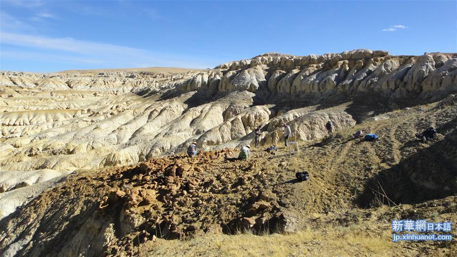 （晚报）（3）西藏阿里发现400多万年前鬣狗化石
