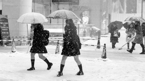 冬でもミニスカにルーズソックスの日本の女子高生 寒さに強い秘訣は？_新華網日本語