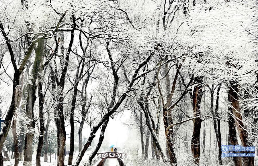 （晚报）（1）安徽：万佛湖景区雪后如画