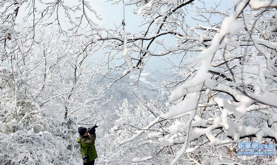 （晚报）（3）安徽：万佛湖景区雪后如画