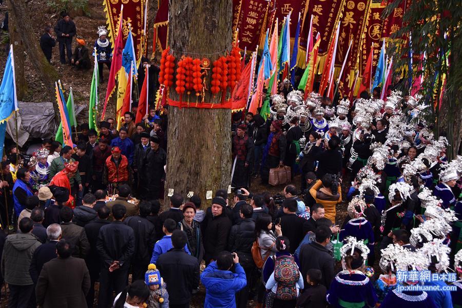 #（XHDW）（3）贵州锦屏：祭“树神” 倡环保