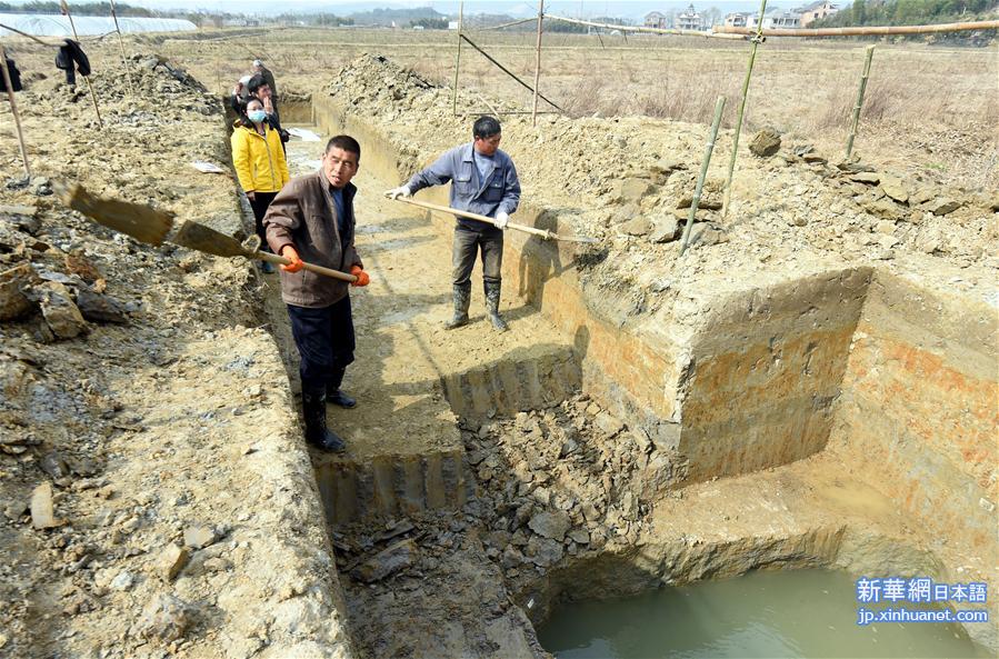 浙江杭州で中国最古の大型水利施設発見