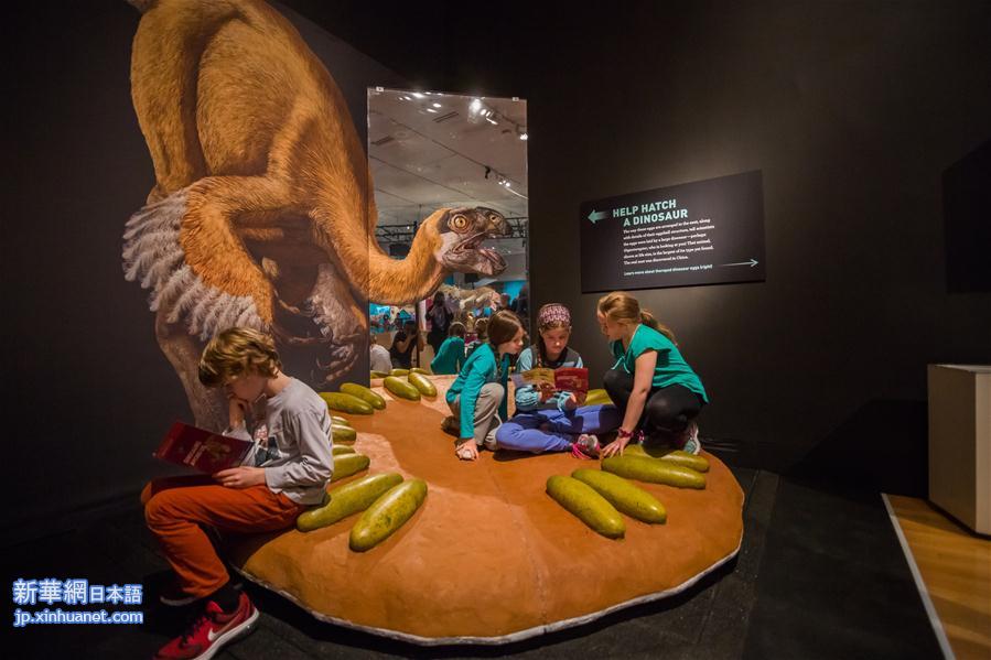 （国际）（2）美国自然历史博物馆举办恐龙进化特展