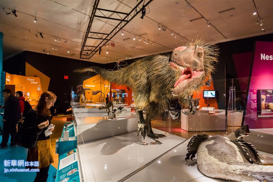 （国际）（3）美国自然历史博物馆举办恐龙进化特展