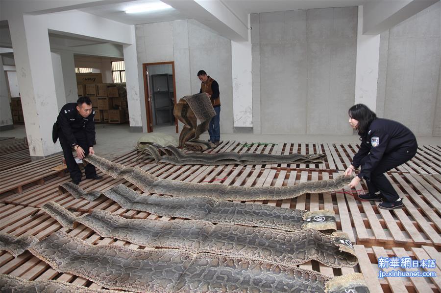 （XHDW）（2）海口海关破获全国最大走私蟒蛇皮案