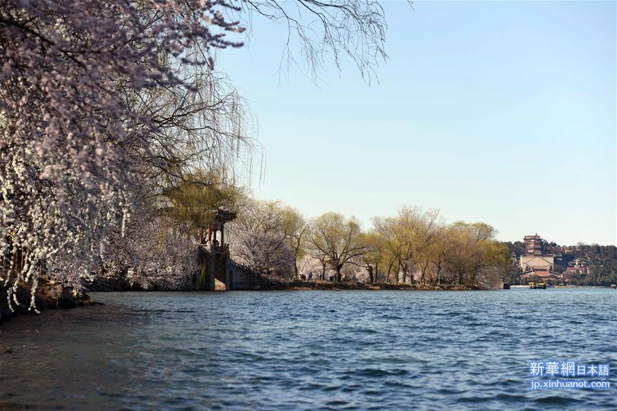（春季美丽生态）（1）北京颐和园：满园春色