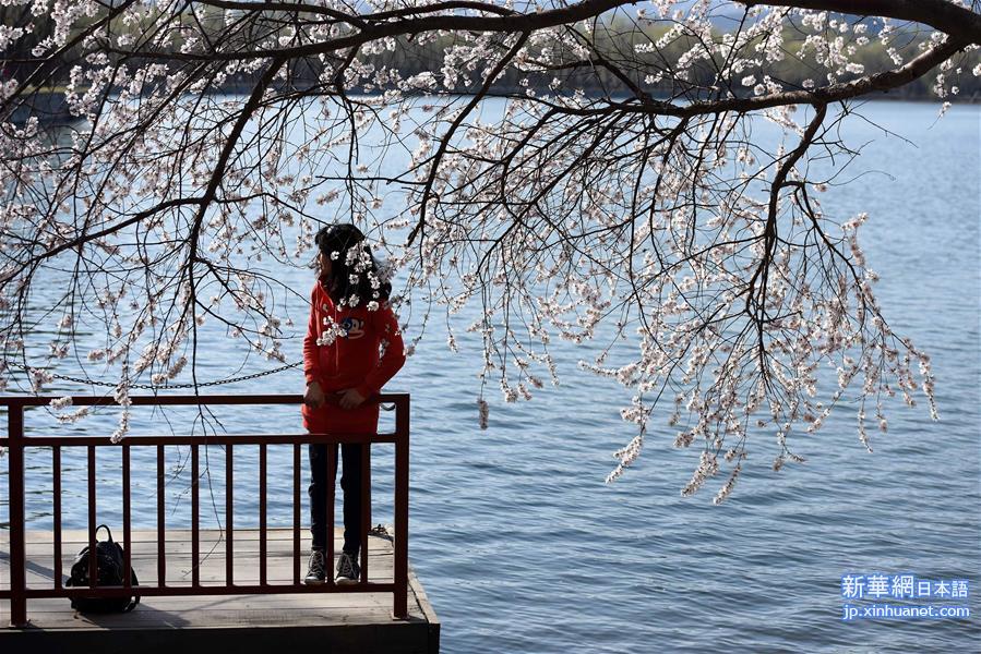 （春季美丽生态）（2）北京颐和园：满园春色