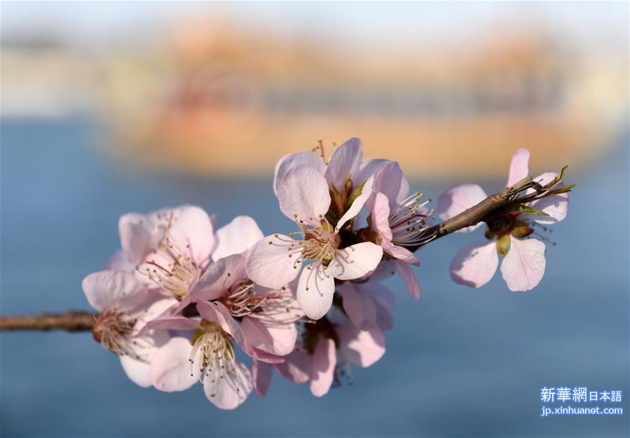 （春季美丽生态）（4）北京颐和园：满园春色