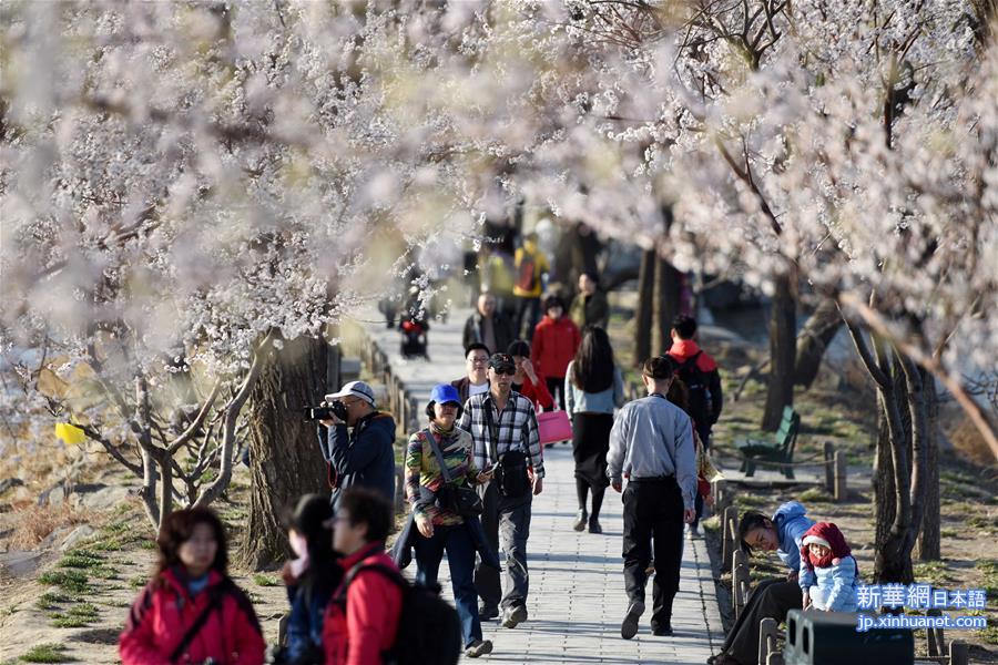 （春季美丽生态）（5）北京颐和园：满园春色