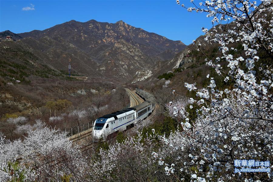 #（春季美丽生态）（2）穿越芬芳的列车