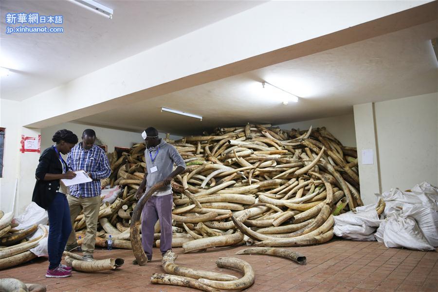 （国际）（5）肯尼亚100多吨象牙和犀牛角待焚毁