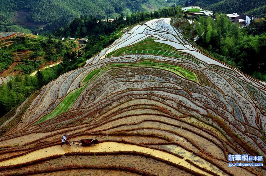 （XHDW）（15）中国梯田——“地球上最美的曲线”