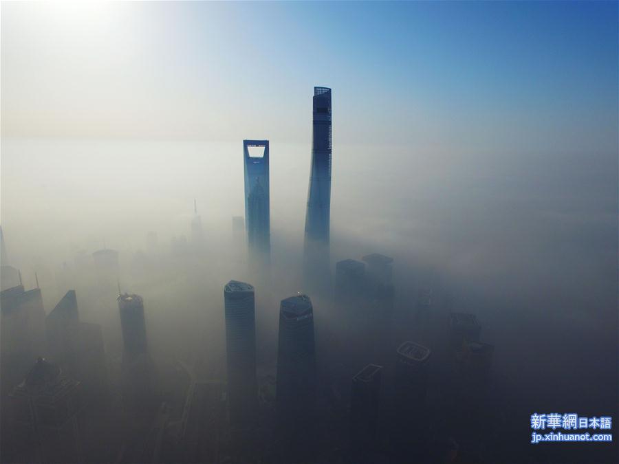 #（生态）（1）上海大雾锁城