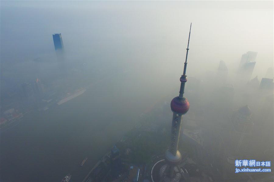 #（生态）（4）上海大雾锁城