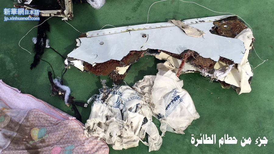 （国际）（5）埃航失联客机残骸与乘客遗物