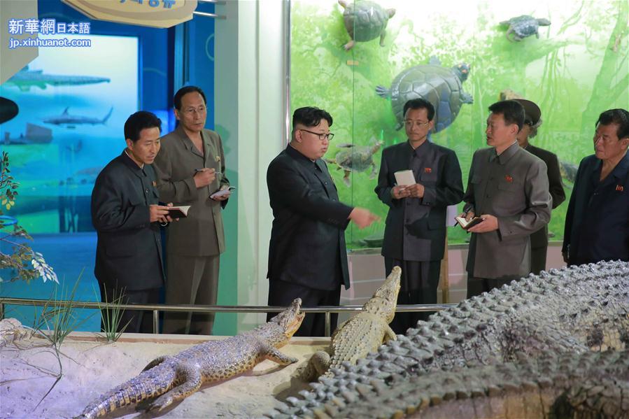 （XHDW）（2）金正恩视察即将完工的朝鲜自然博物馆