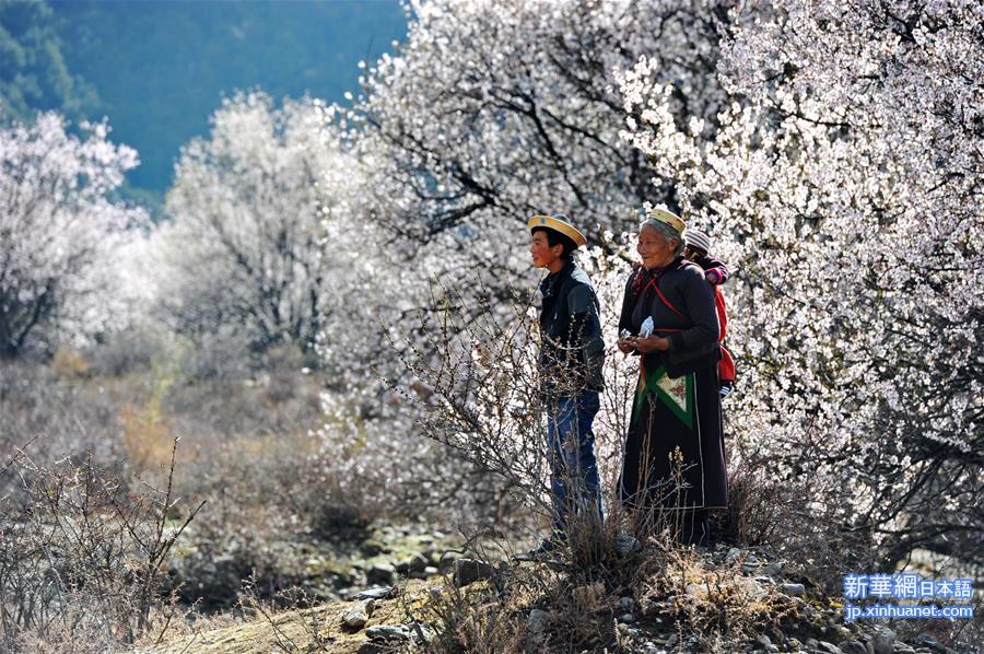 （西藏和平解放65周年）（3）美丽西藏 无限风光