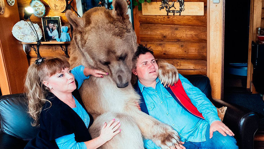 俄一家庭和大棕熊共同生活20余载 其乐融融画面温馨