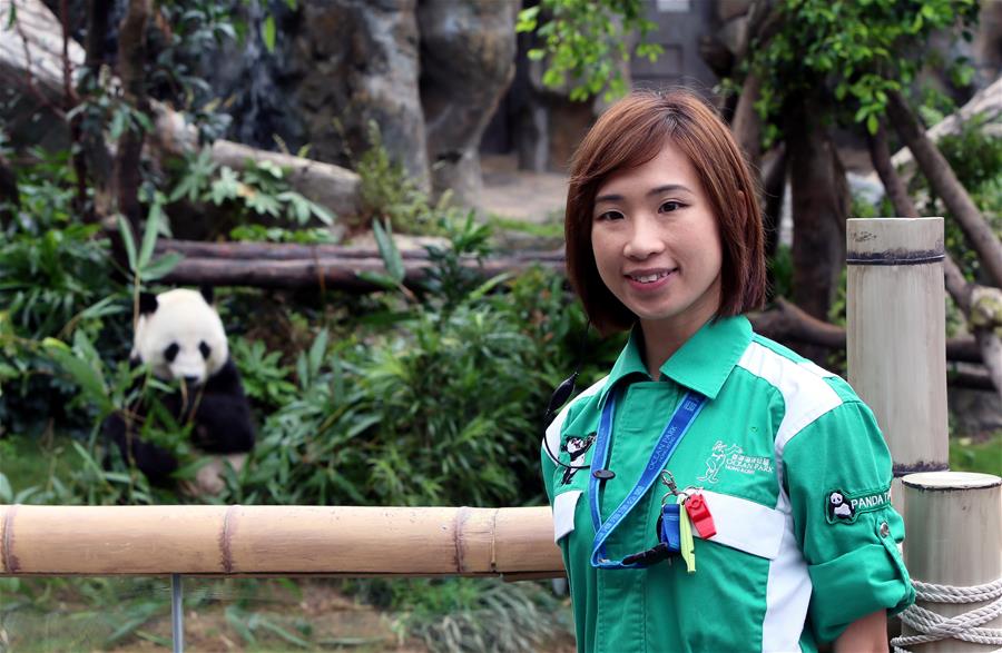（图文互动）（3）特写：悉心饲养全球最老大熊猫　香港海洋公园盼与各地分享经验