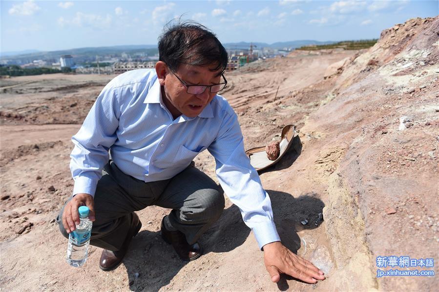 （科技）（2）吉林延边发现疑似白垩纪早期恐龙化石群