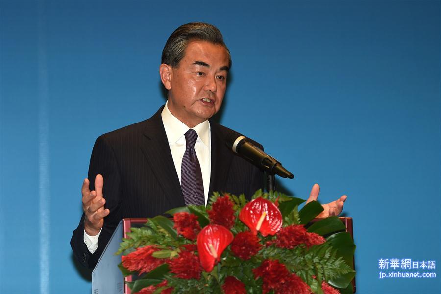 （新华网）王毅出席中国－东盟国家外长特别会议后举行记者会