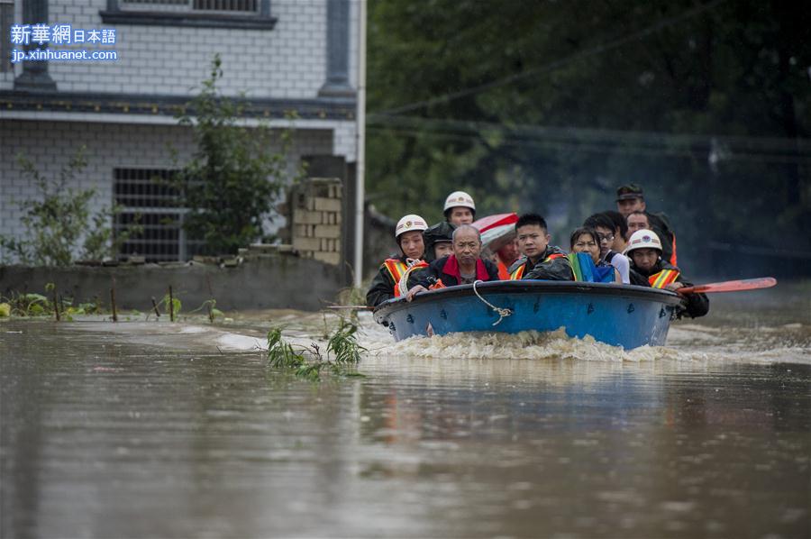 （突发事件）（6）直击武汉新洲举水河溃口救援现场
