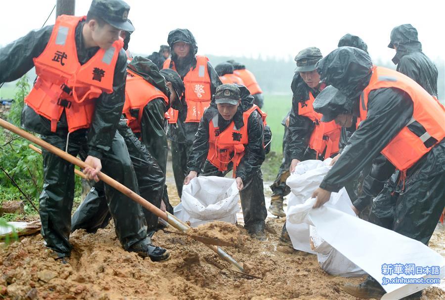 （社会）（2）安徽：武警官兵抗洪救灾