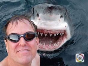 「自撮りによる死亡事故」が世界的現象に 死亡者の75%が男性