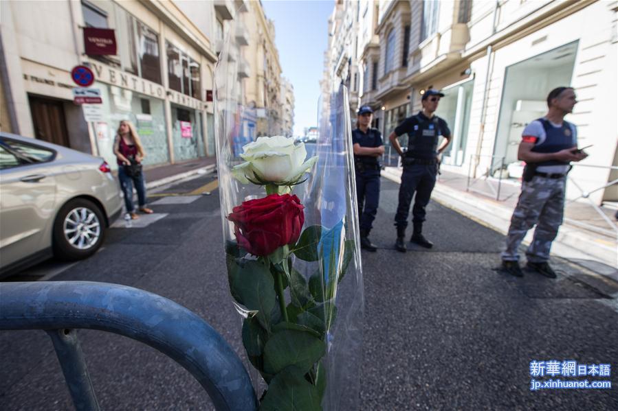 （国际）（1）法国总统：尼斯事件为恐怖袭击