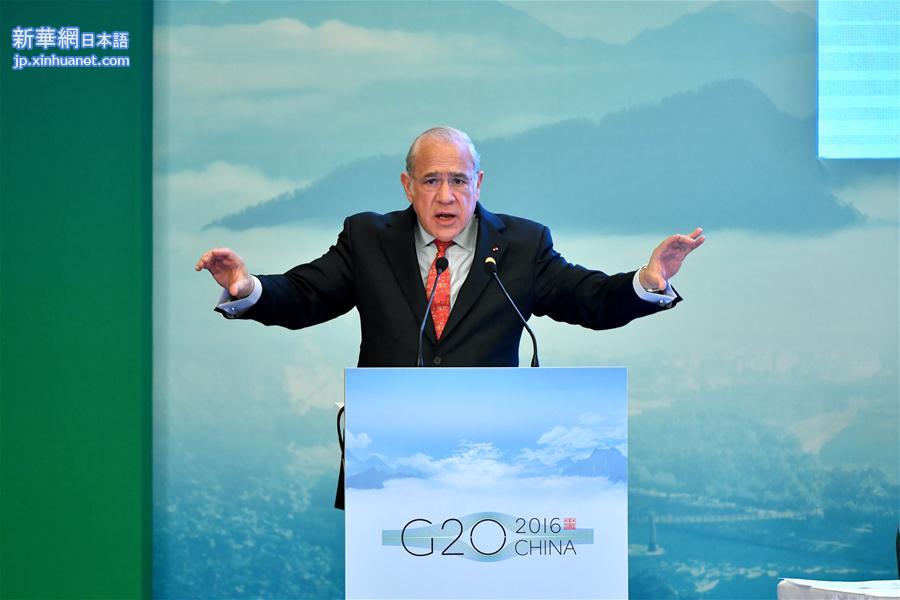 （XHDW）（3）G20税收高级别研讨会在成都举行