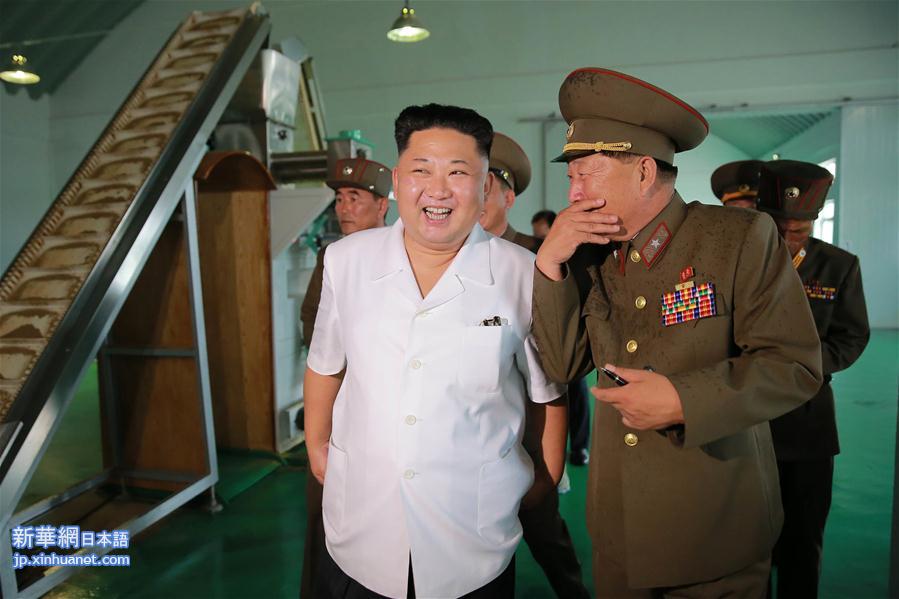 （国际）（1）金正恩视察朝鲜人民军第810部队所属鱼饲料工厂