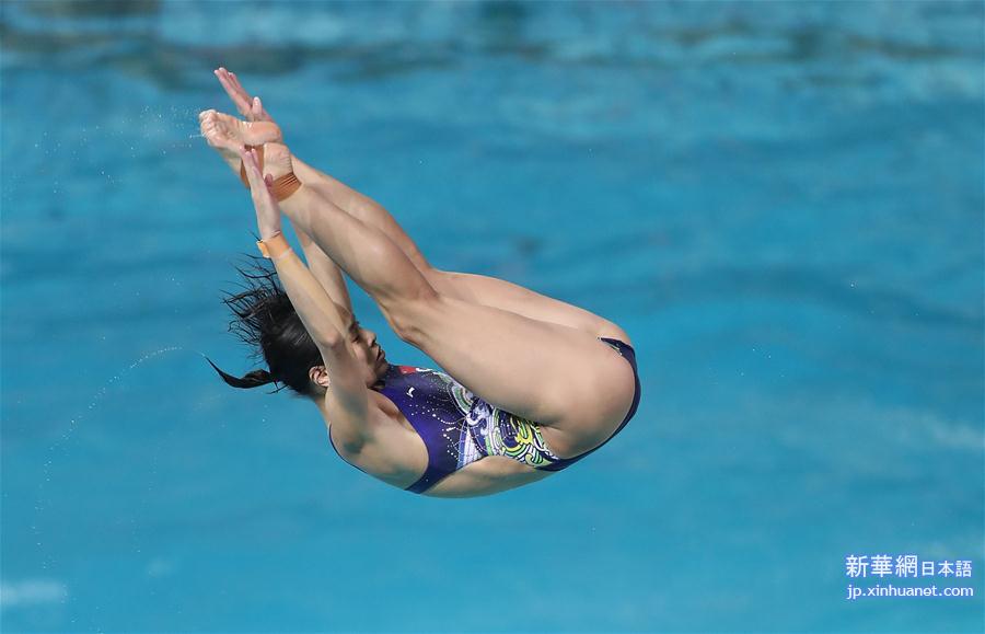 （里约奥运会）（1）跳水——中国跳水队在里约进行适应性训练