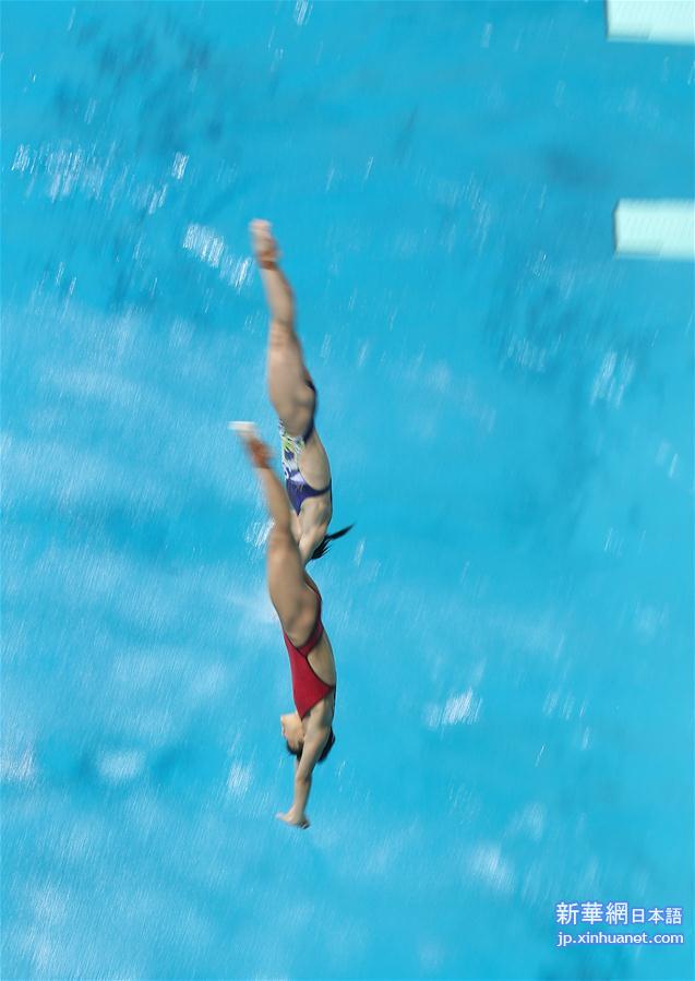 （里约奥运会）（5）跳水——中国跳水队在里约进行适应性训练