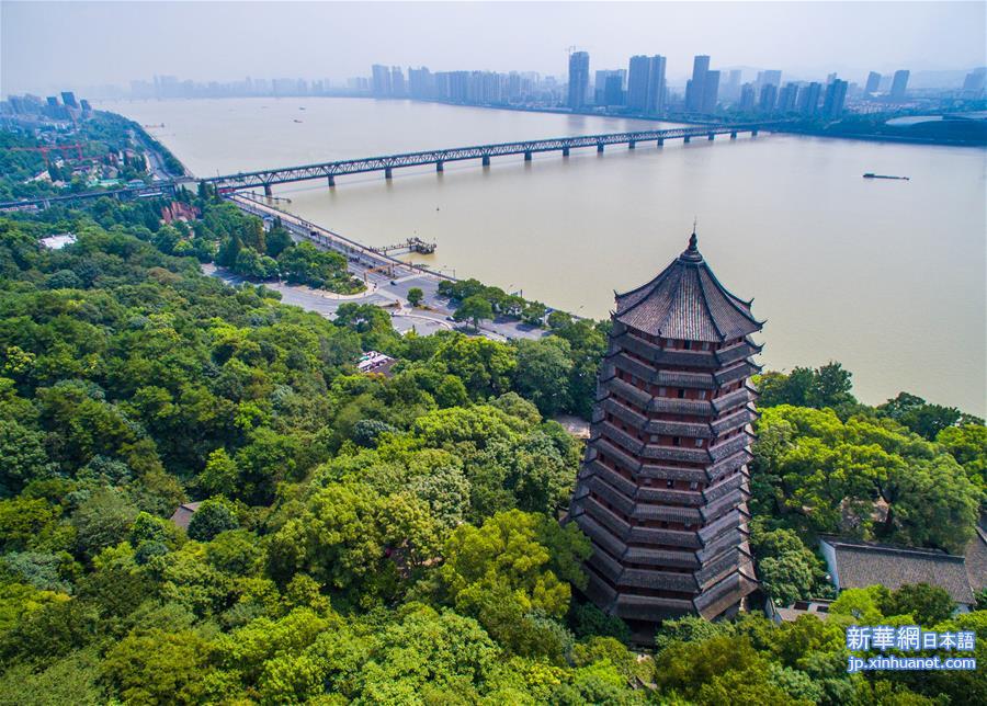 （聚焦G20）（4）杭州的桥 