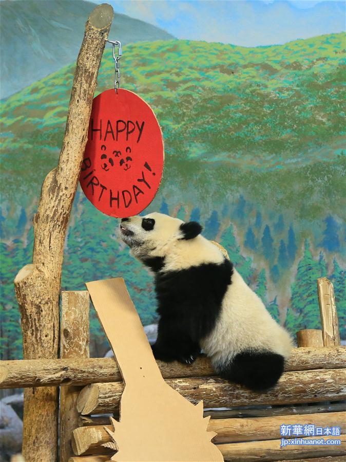 （国际）（4）加拿大出生的龙凤胎熊猫宝宝欢庆周岁
