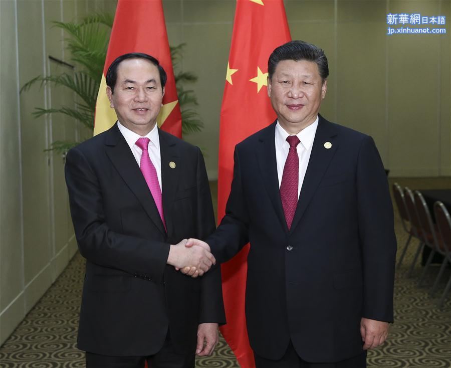 （时政）习近平会见越南国家主席陈大光