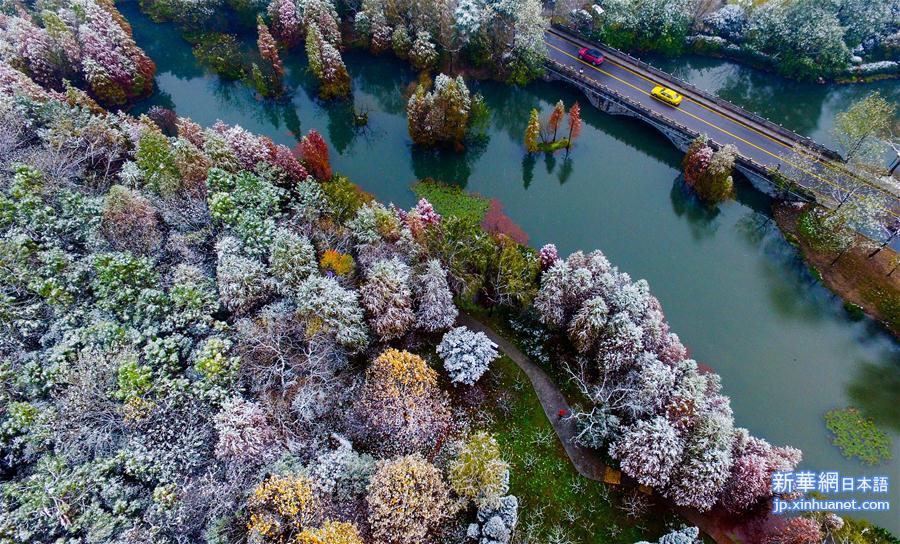 （冬季美丽生态）（2）南京：雪中紫金山风景如画
