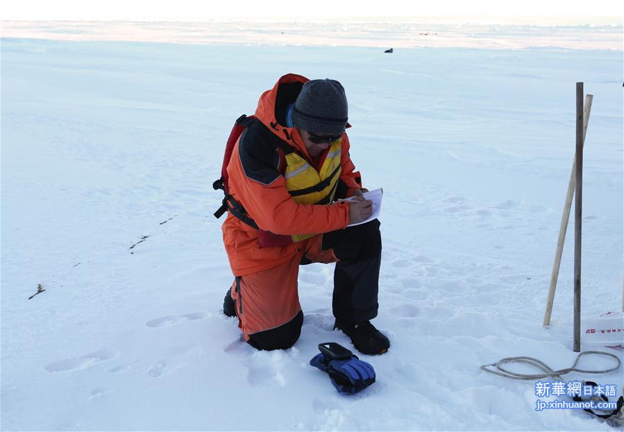 （第33次南极科考）（4）南极冰原上的破冰与探冰
