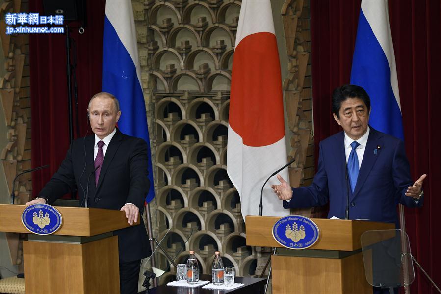 （国际）（3）日俄首脑再次会晤　领土问题仍无突破