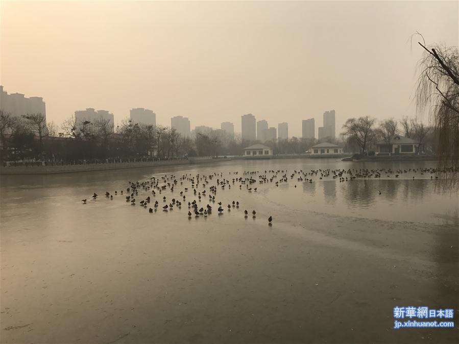 （环境）（22）北京启动2016年首个“重污染红色预警”