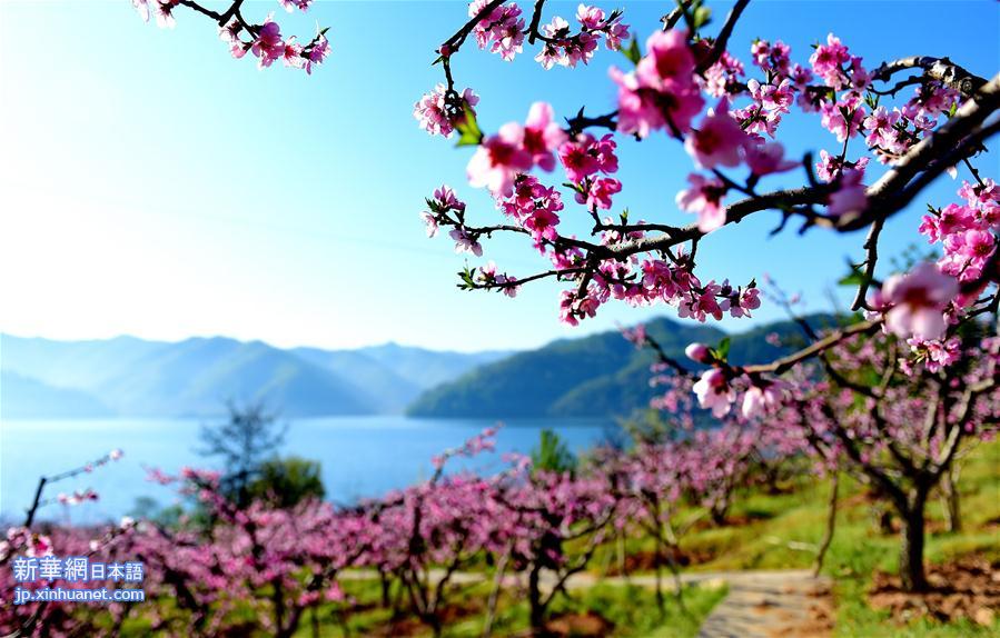 （年终报道）（1）四季美丽中国——春