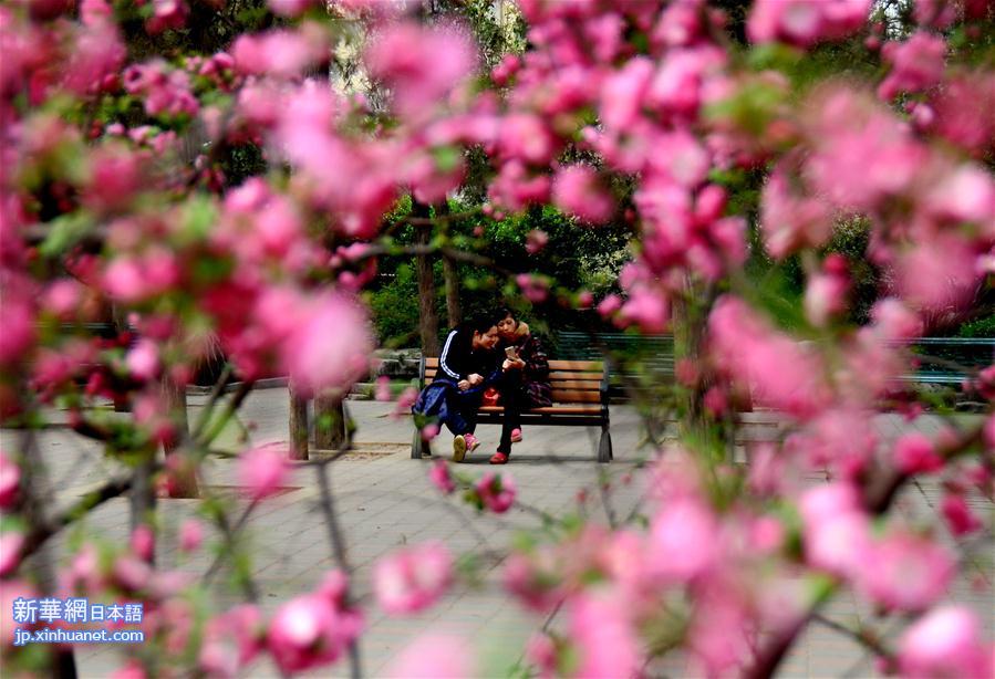 （年终报道）（4）四季美丽中国——春