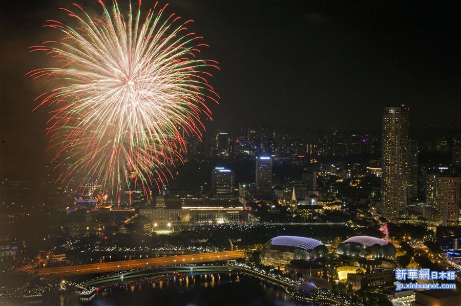 （国际）（5）焰火迎新年