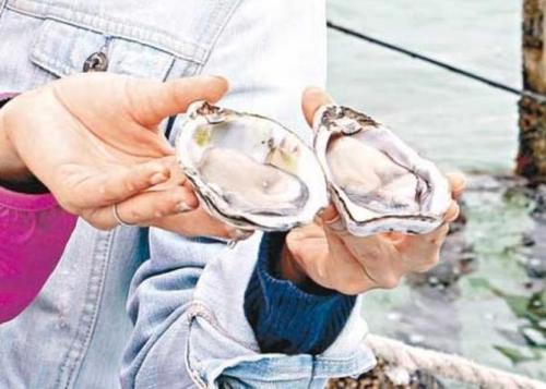 日本福島県で「巨大牡蠣」発見、放射能による影響か？