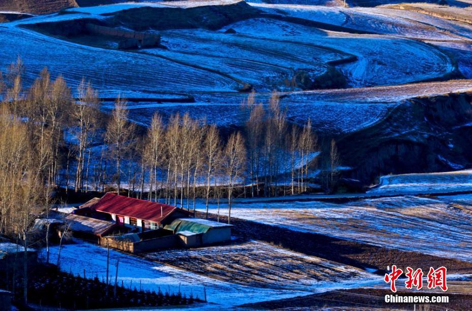 真冬日となった11日、祁連山脈北麓の甘粛省民楽県の肥沃な畑が、冬の夕日と残雪に照らされ活気づいた。
