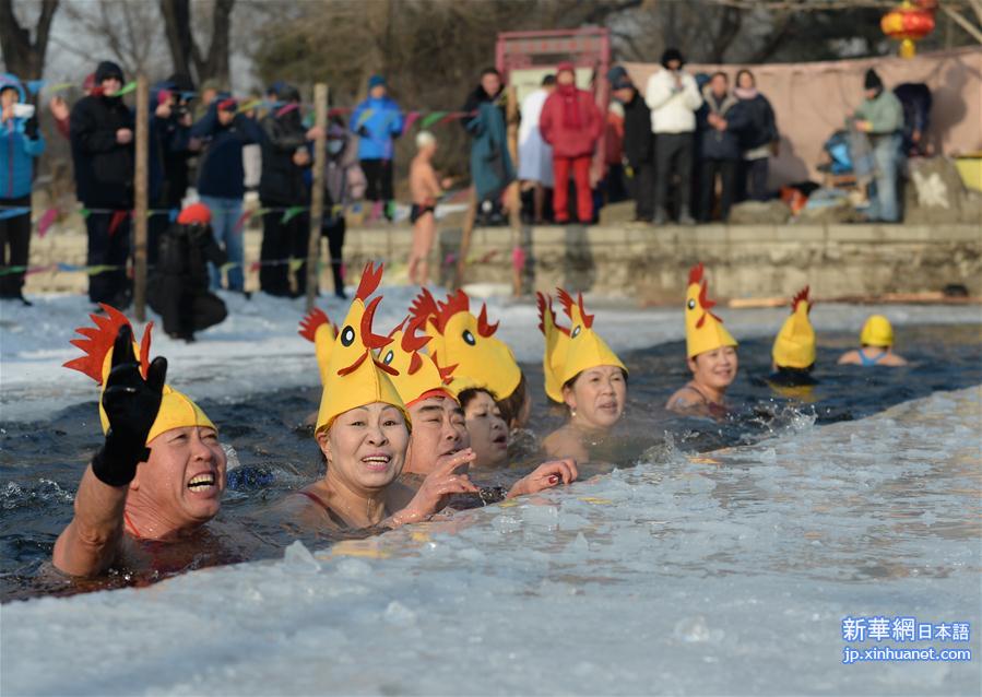 （体育）（3）全民健身——欢乐冬泳度新春