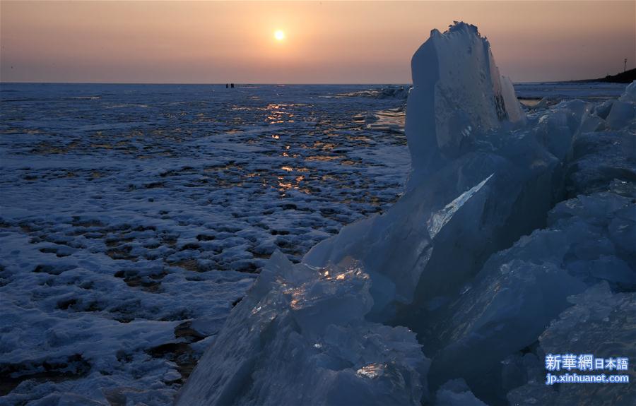 （环境）（11）中俄界湖兴凯湖：壮美冰排映夕阳