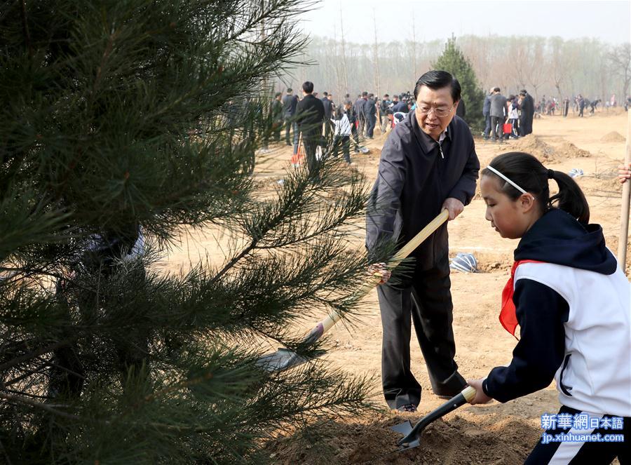 （XHDW）（5）党和国家领导人参加首都义务植树活动